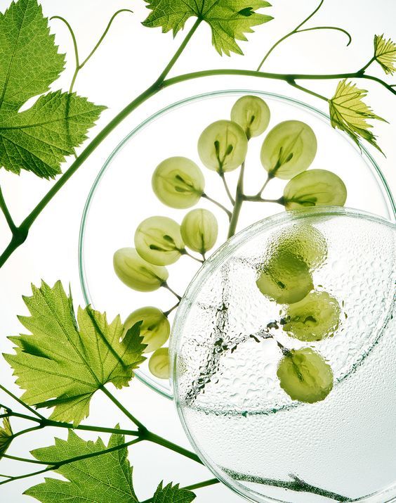 What Are Biomimetic Supplements and How They Support Metabolic Health