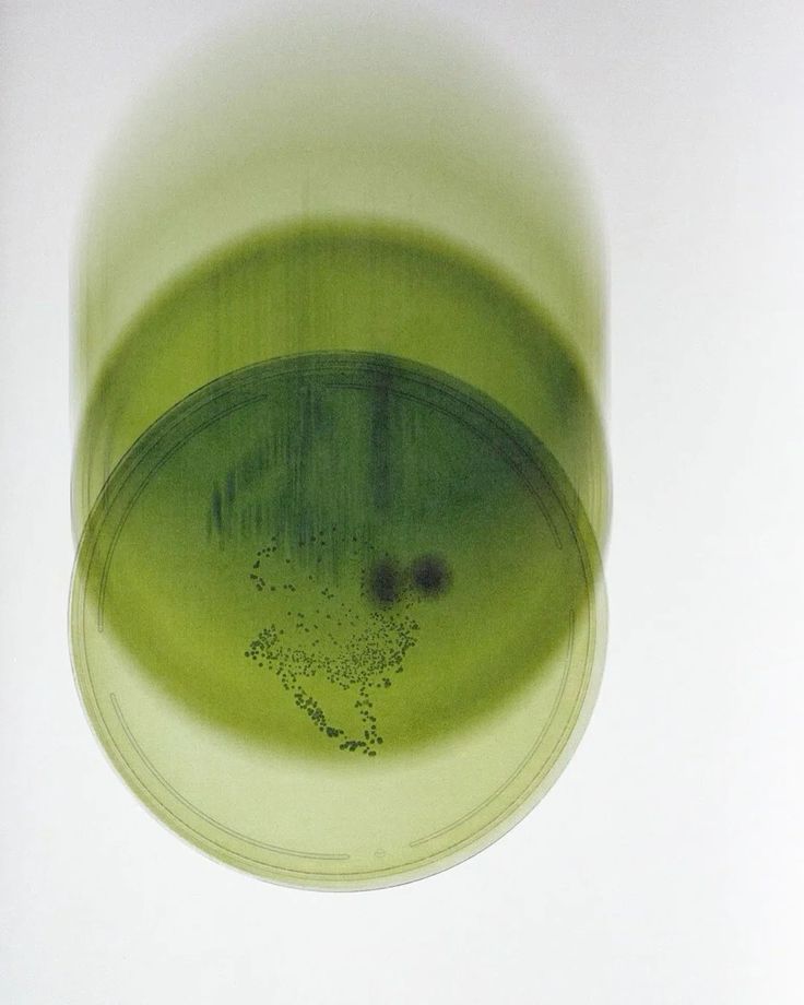 Clinically Studied: The Research Behind Evolv GLP-1