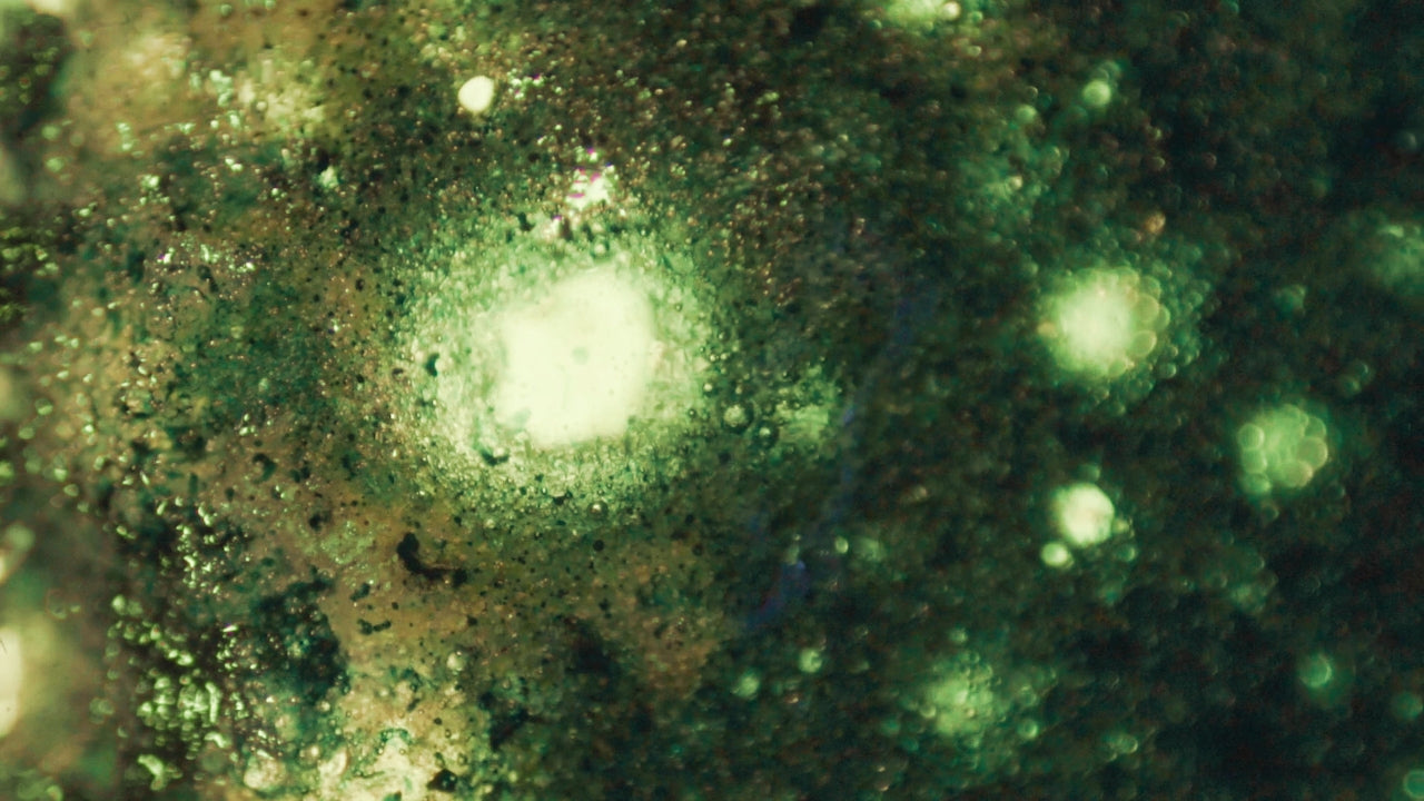 What If GLP-1 Supports Muscle and Bone? Inside the Emerging Research