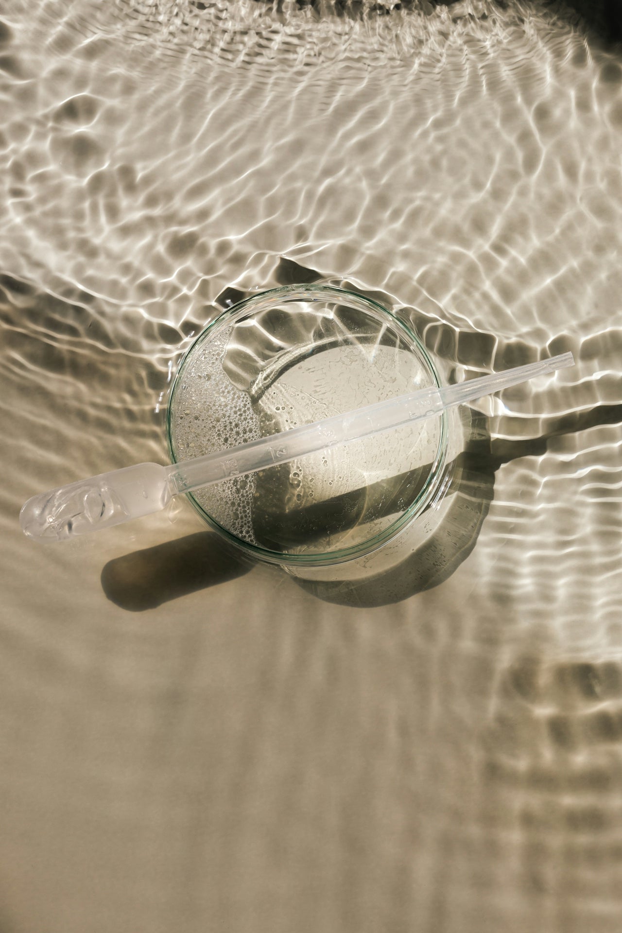 What Are Bioactive Peptides? Sources, Benefits, and How They Work